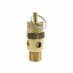 Coilhose_SV100.jpg