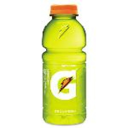 GATORADE_51195d6403387.jpg