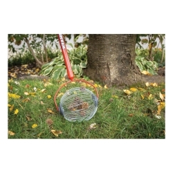 Garden_Weasel_95314.jpg