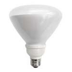 INCANDESCENT_511bb67d5e741.jpg