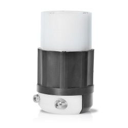 Leviton_2313.jpg