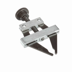 Morse_2361020.jpg