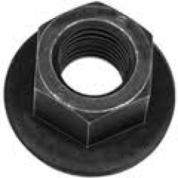 NUTS__51648c455acea.jpg