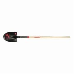 Razor-Back_45657.jpg