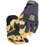 Black_Stallion_99ACEXL-PW