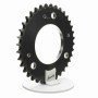 Browning_1187830