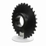 Browning_3995826