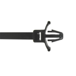 Catamount_L-5-50PM-0-D