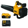 DeWALT_DCBL722P1