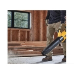 DeWALT_DCBL722P1_3
