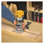 DeWALT_DWP611_1