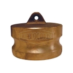 Dixon_Valve_Coupling_200-DP-BR