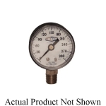 Dixon_Valve_GS10004_APNS