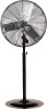 /FAN