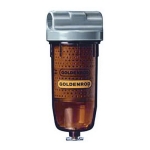 Goldenrod_495