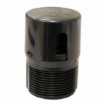 Jones_Stephens_P21150