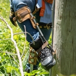 Klein_CN1907AR_3