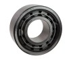 Link-Belt_10039515