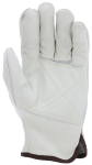 MCR_Safety_32113DPL_1