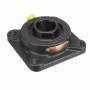 Sealmaster_700447