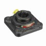 Sealmaster_705426