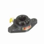 Sealmaster_705477