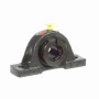 Sealmaster_705766