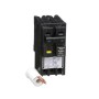 Square_D_HOM250GFI