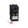 Square_D_HOM250GFI_2