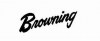/brlogo1