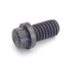 /ferry_bolt