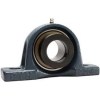 /fyhnap204125