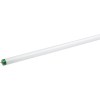 /imagerequest-light-bulb