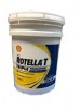 /shl560265gal