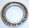 /skf6021