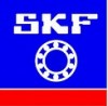 /skflogo46