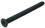 torx_head_floorboard_screw.jpg