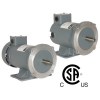 /wpmdc121890v56c